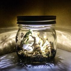 a glass jar filled with plants and rocks