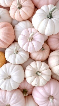 a bunch of small pumpkins sitting on top of each other in pastel colors