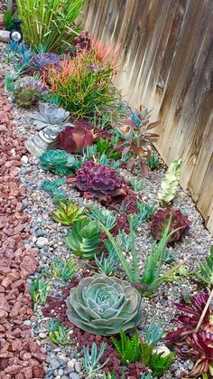 an assortment of succulents and plants in a rock garden bed next to a wooden fence