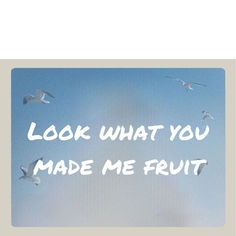 the words look what you made me fruit are flying in the sky with seagulls