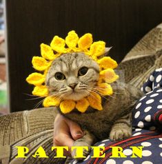 a cat wearing a sunflower hat on top of it's head with the caption pattern