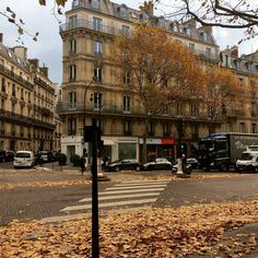 an empty street with cars parked on the side and leaves covering the ground in front of it