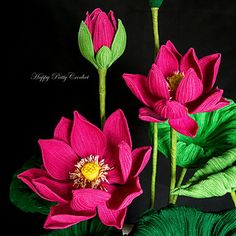 three pink flowers with green leaves on a black background