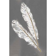 Gold Feathers III on Grey Poster Print by Chris Paschke Image 1 Grey Poster, Feather Wall Art, Gold Feathers, Grey Art, Fine Arts Posters, Paper Stock, High Quality Art Prints, Find Art, Art Poster