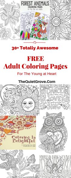 adult coloring pages for the young at heart