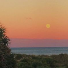 the sun is setting over the ocean and trees