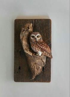 an owl is sitting on top of a piece of wood that has been carved into it