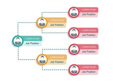 an image of a job position diagram