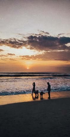 two people walking their dogs on the beach at sunset