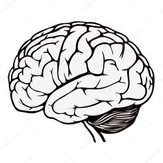 a black and white drawing of a brain with the top half turned to look like it is