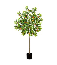 an orange tree in a black pot on a white background