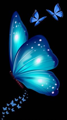 blue butterflies flying in the night sky