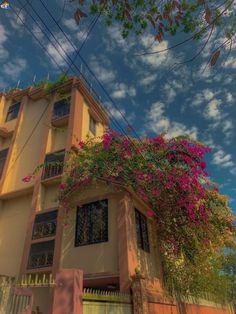 an image of a house with flowers growing on it