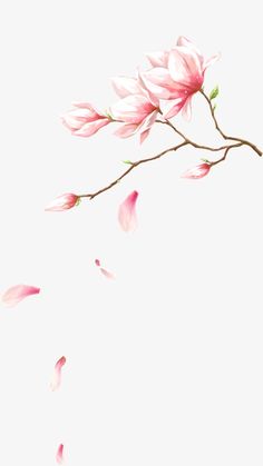 a branch with pink flowers floating in the air