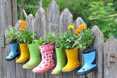 colorful rain boots are lined up on a wooden fence with flowers in them and plants growing out of them