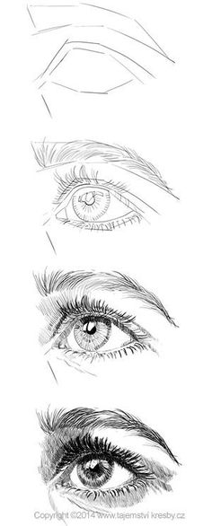 an image of different types of eyes