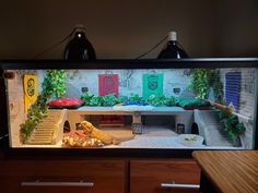 a fish tank filled with plants and food on top of a wooden table next to drawers