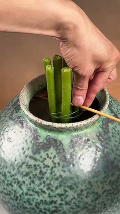 a person holding a wooden stick in a green vase