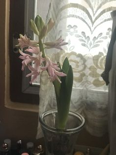 a glass vase with pink flowers in it on a table next to a window sill