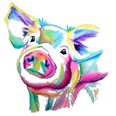 a pig painted in bright colors on a white background