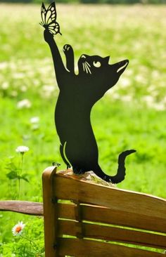 a cat sitting on top of a wooden bench with a butterfly flying over its head