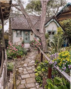 a stone path leads to a small cottage with flowers in the foreground and potted plants on either side