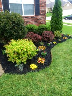 landscaping in front of a house with shrubs and flowers