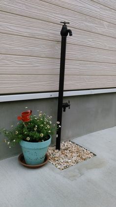 a potted plant sitting next to a water faucet on the side of a building