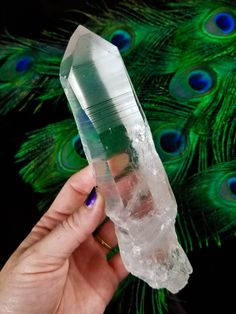 a person holding a crystal point with peacock feathers in the background