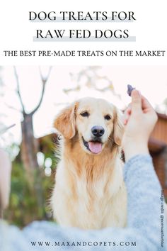 a dog that is being petted by someone's hand with the words, dogs treats