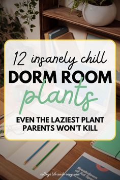 12 insanely chill dorm room plants even the laziest plant parents won't kill Eco Friendly Laundry Detergent