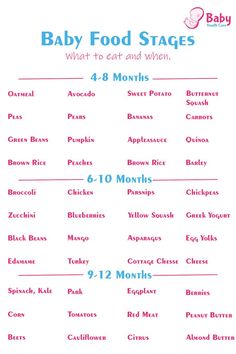 the baby food stages are shown in red and blue, with numbers for each month