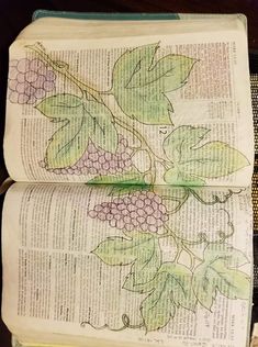 an open book with grapes on it and leaves painted on the pages, sitting on a table