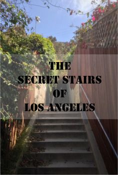 the secret stairs of los angeles