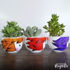 three potted plants with faces painted on them