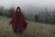 a painting of a woman in a red cloak walking through tall grass with a wolf behind her