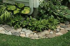 some plants and rocks in front of a house