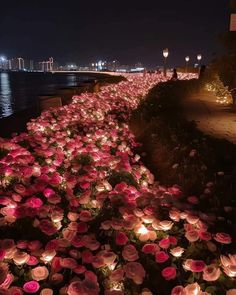 many lit candles are lined up along the edge of a body of water at night