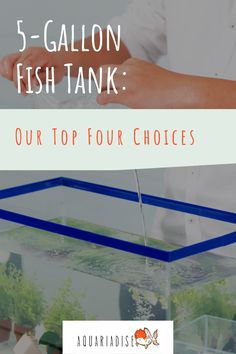 a fish tank with the words 5 gallon fish tank our top four choices