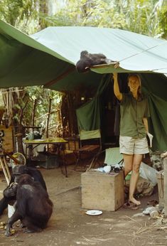 a woman standing next to a tent with a cat on it's head and another animal laying in the shade