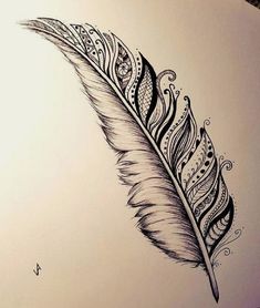 a drawing of a feather with intricate designs on it