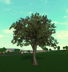 a tree in the middle of a grassy area with blue sky and clouds behind it