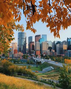 the city is full of tall buildings and yellow leaves on trees in front of it