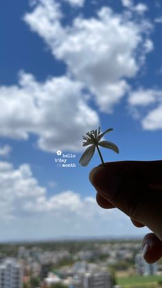 a hand holding a tiny white flower in front of a blue sky with some clouds