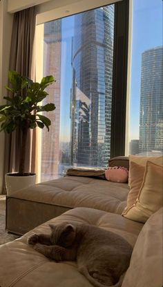 a dog sleeping on a couch in front of a large window with the city skyline outside