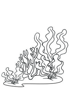 a black and white drawing of some corals