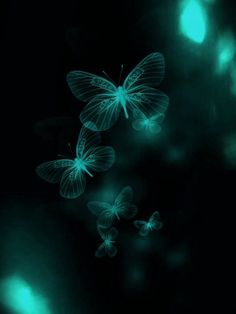 three butterflies flying in the dark with green light shining on their wings and back ground