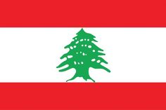 a flag with a green tree on the front and white stripes in the middle,