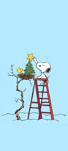 a charlie brown christmas tree on top of a ladder