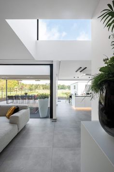 a living room with a couch, table and large potted plant in the center